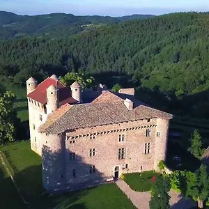 Château De Maisonseule Couette-café